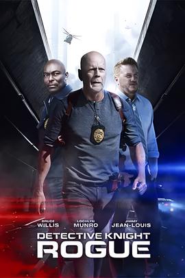 警探奈特：侠盗