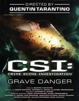 犯罪现场调查 第五季