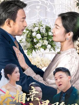 在相亲节目上邂逅商界骄子