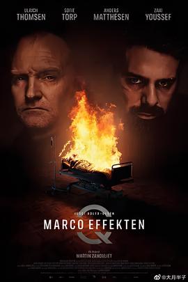 悬案密码5：马可效应